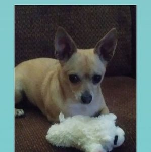 Meet your Posher, Teri